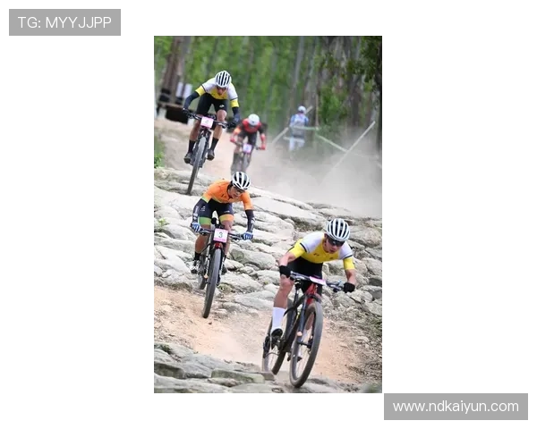 2026年全国自行车骑行比赛：挑战极限，展现风采